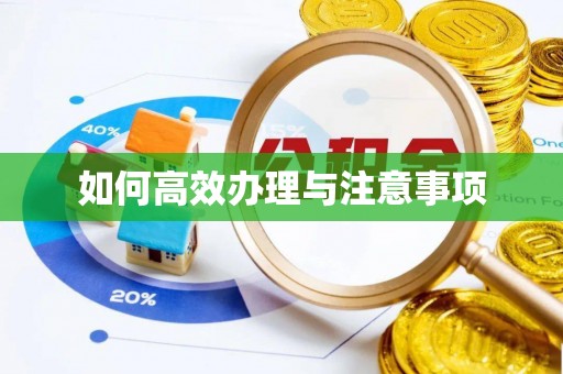 长丰如何高效办理与注意事项