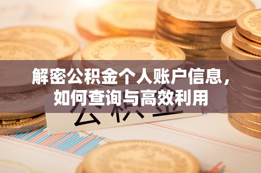 长丰解密公积金个人账户信息，如何查询与高效利用