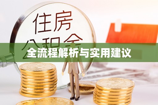 长丰全流程解析与实用建议