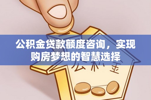 长丰公积金贷款额度咨询，实现购房梦想的智慧选择