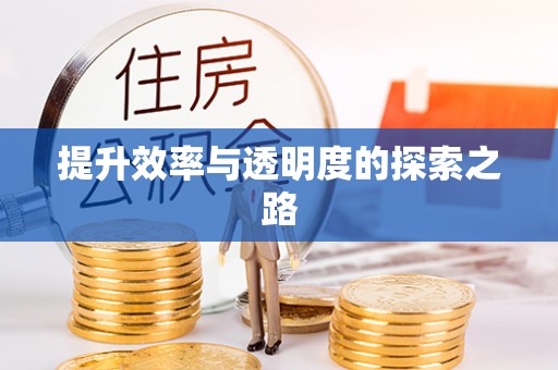 长丰提升效率与透明度的探索之路