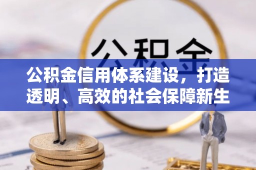 长丰公积金信用体系建设，打造透明、高效的社会保障新生态