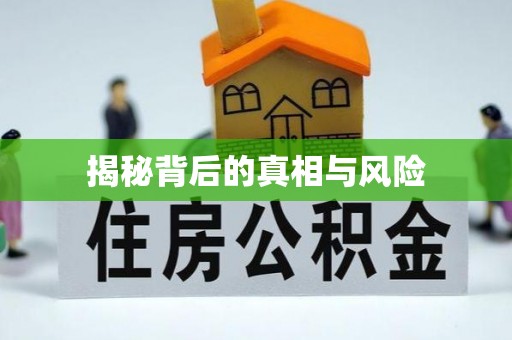 长丰揭秘背后的真相与风险