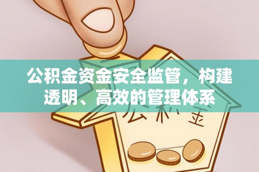 长丰公积金资金安全监管，构建透明、高效的管理体系