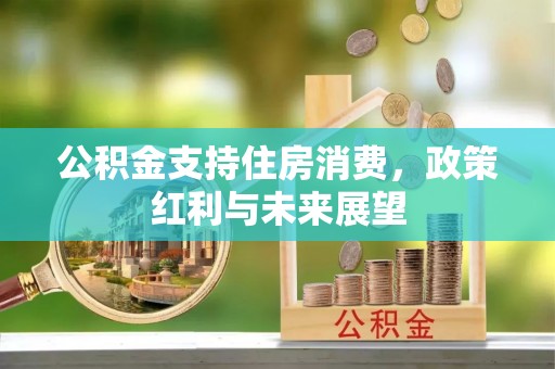 长丰公积金支持住房消费，政策红利与未来展望