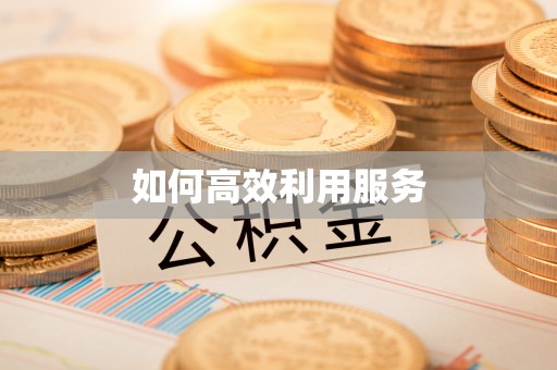 长丰如何高效利用服务