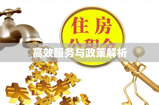 长丰高效服务与政策解析