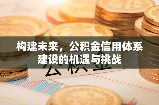 长丰构建未来，公积金信用体系建设的机遇与挑战