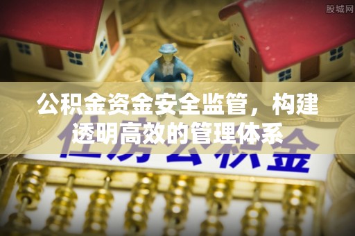 长丰公积金资金安全监管，构建透明高效的管理体系