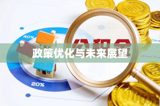 长丰政策优化与未来展望