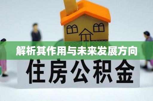 长丰解析其作用与未来发展方向