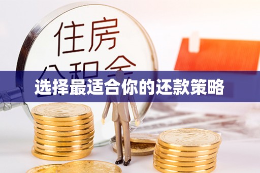 长丰选择最适合你的还款策略