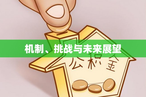 长丰机制、挑战与未来展望